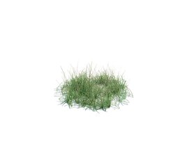 Simple Grass Medium V8 3D model