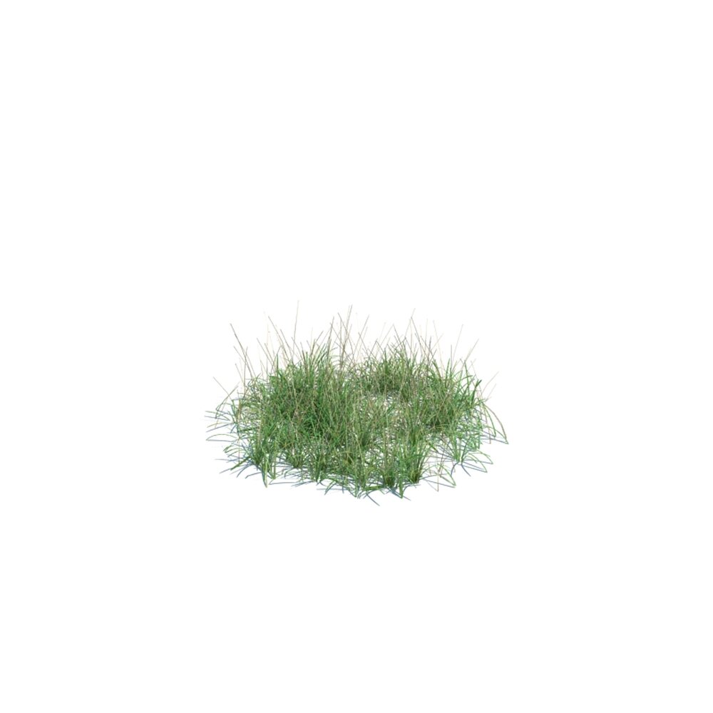 Simple Grass Medium V8 3d model