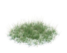 Simple Grass Large V9 3D model