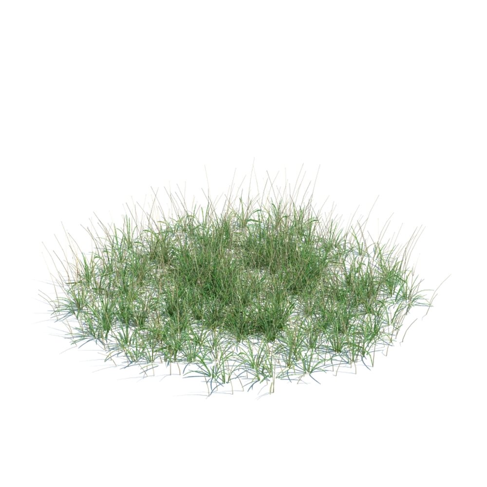 Simple Grass Large V9 3d model