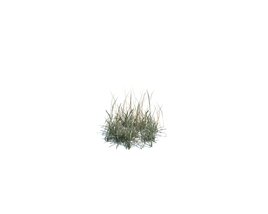 Simple Grass Small V8 3D-Modell