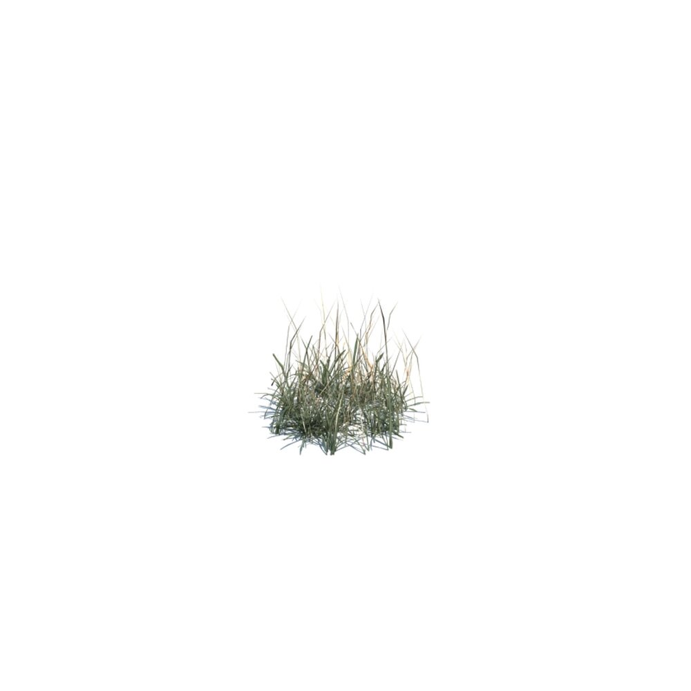 Simple Grass Small V8 Modèle 3d
