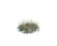 Simple Grass Medium V9 3D模型