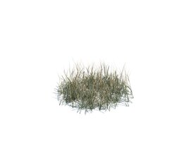 Simple Grass Medium V9 3D 모델 