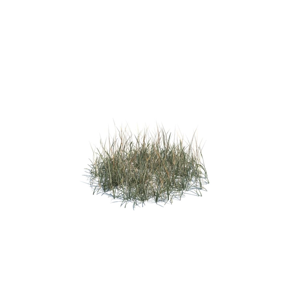 Simple Grass Medium V9 3D модель