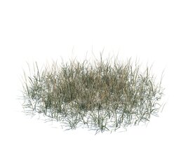 Simple Grass Large V10 3D model