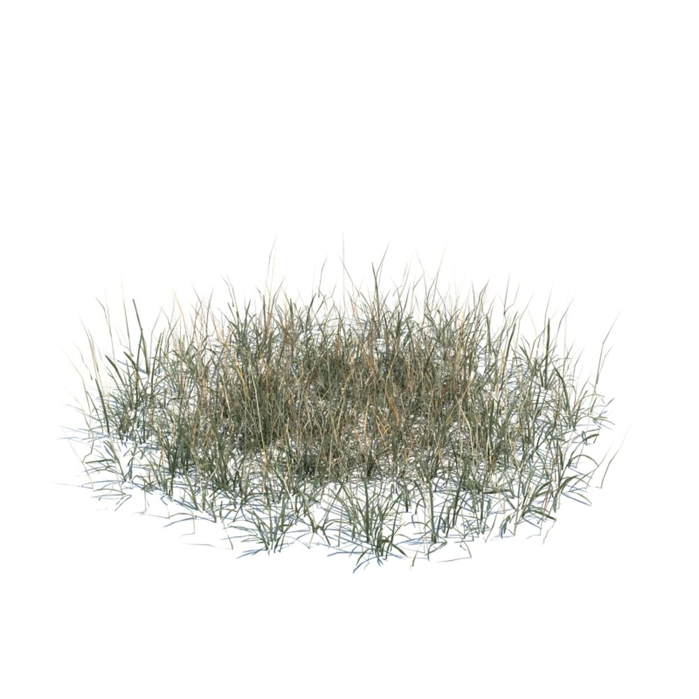 Simple Grass Large V10 Modello 3D