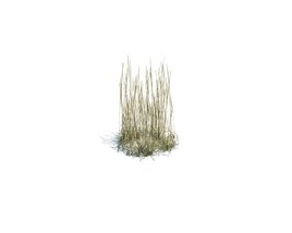 Simple Grass Small V9 3D-Modell