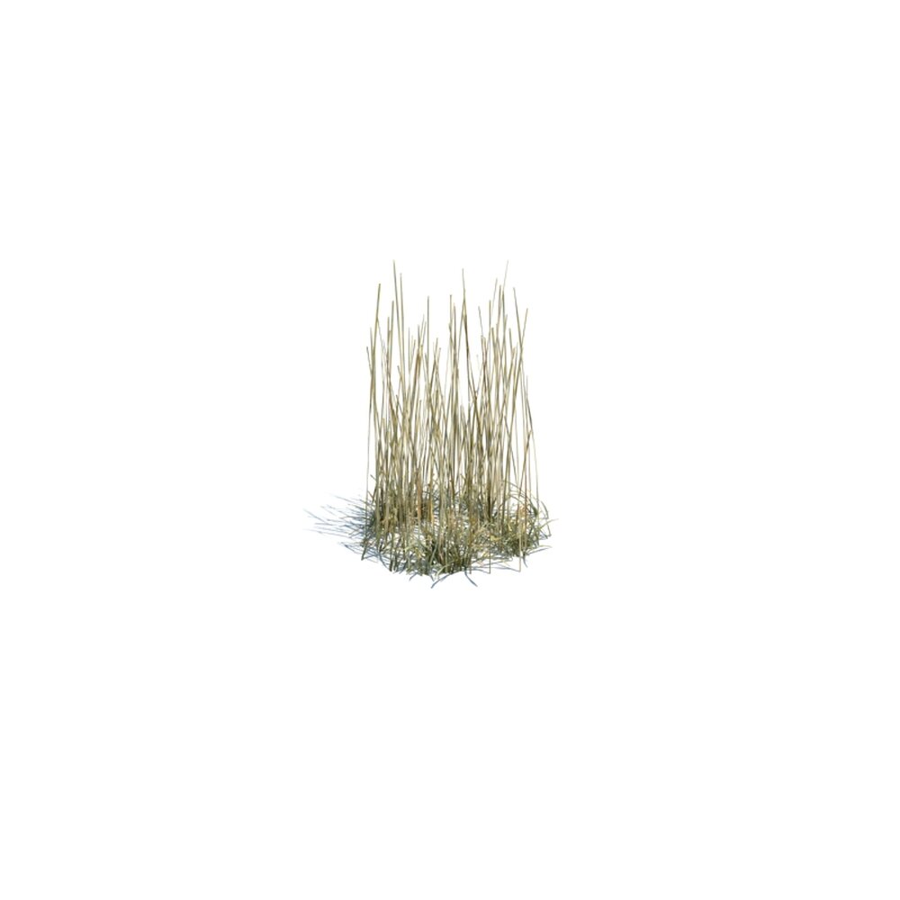 Simple Grass Small V9 3D 모델 