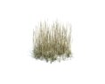 Simple Grass Medium V10 Modello 3D