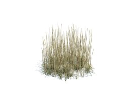 Simple Grass Medium V10 3D-Modell