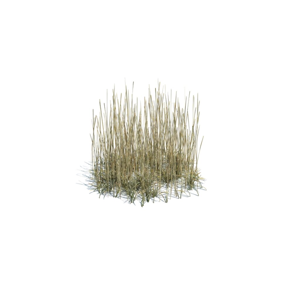Simple Grass Medium V10 Modelo 3d