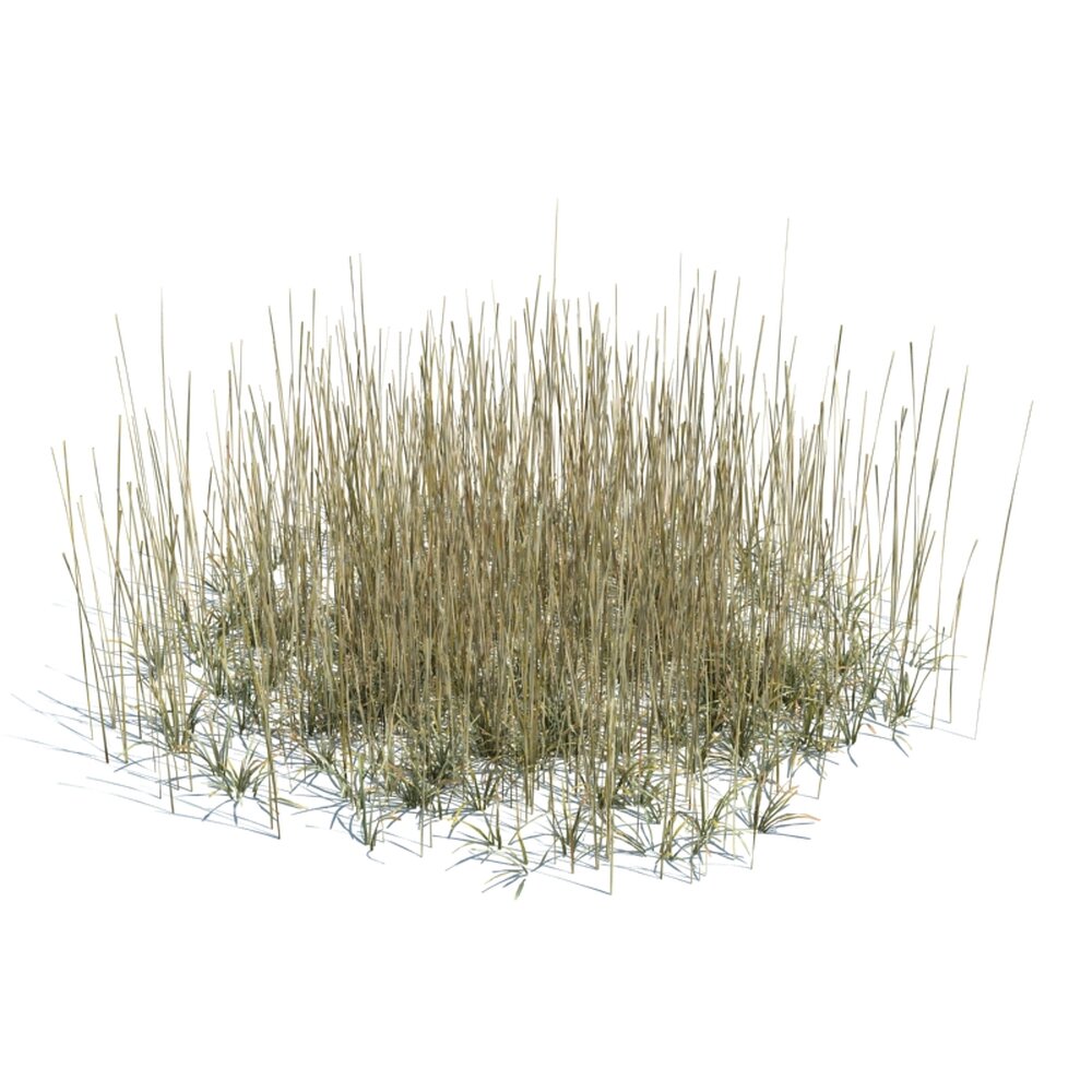 Simple Grass Large V11 3D модель