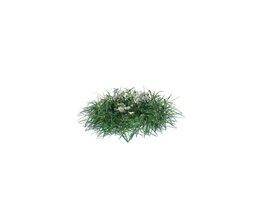 Simple Grass Small V12 3D model
