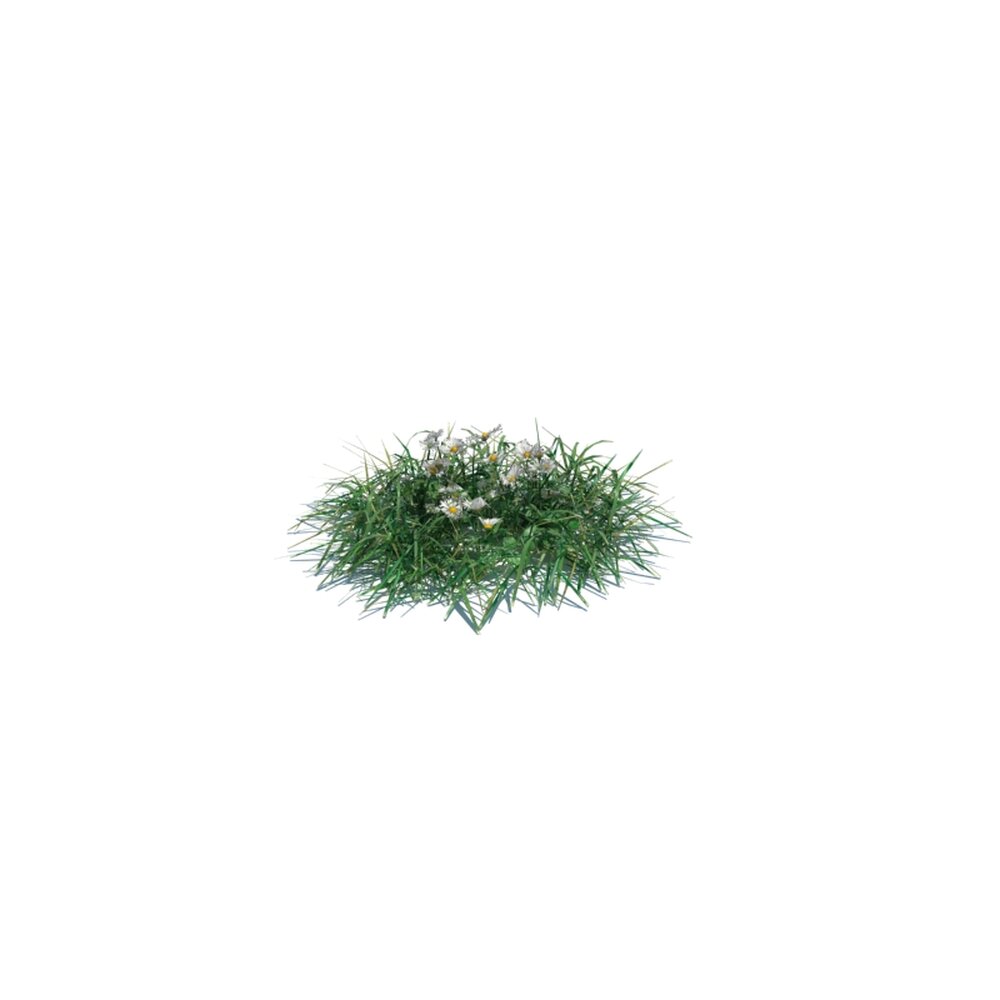 Simple Grass Small V12 3D модель