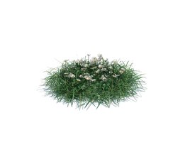 Simple Grass Medium V12 3D model