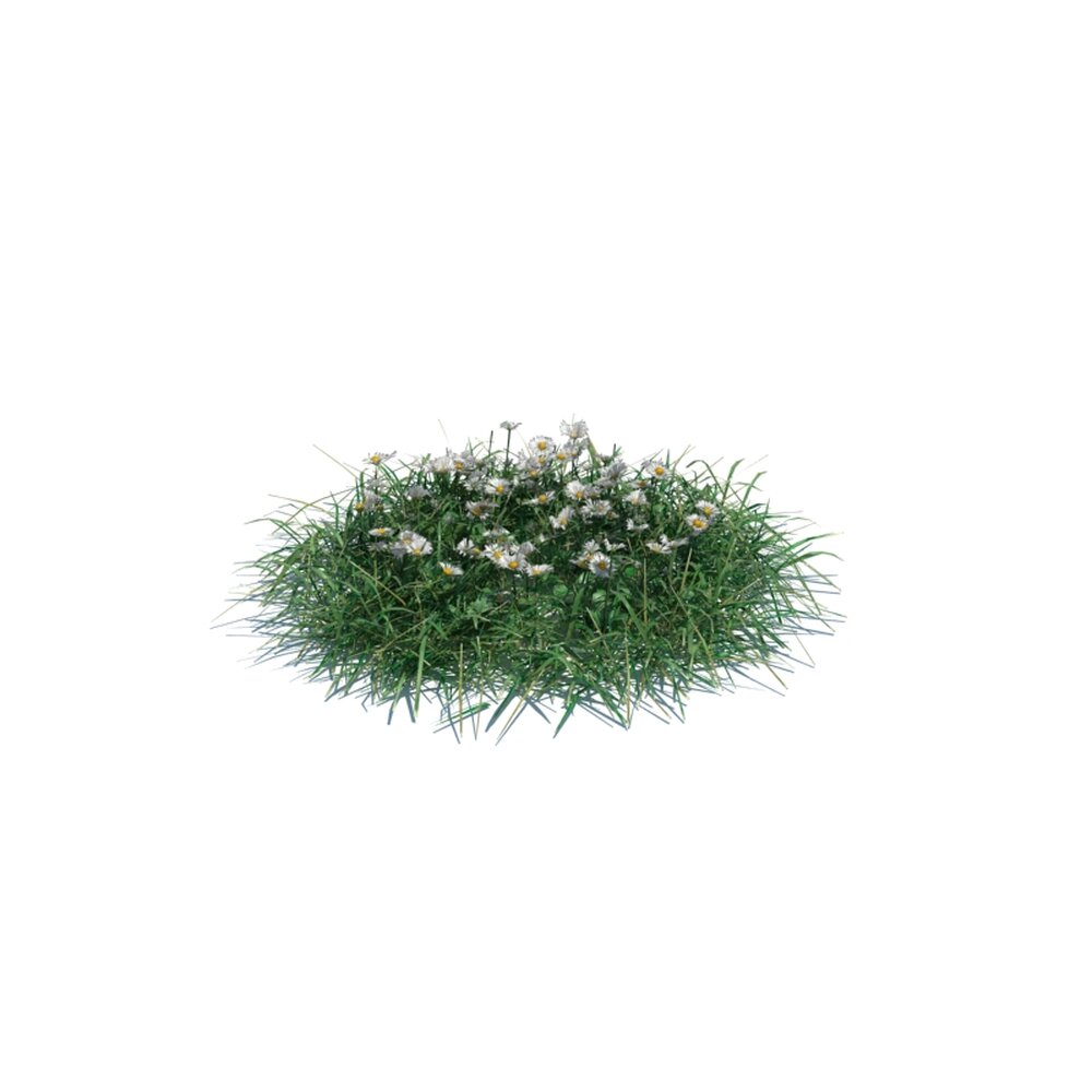 Simple Grass Medium V12 3d model