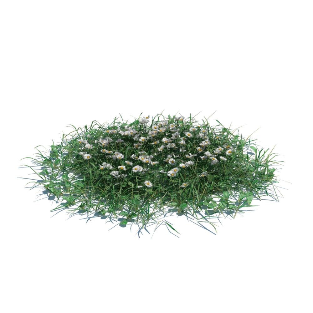 Simple Grass Large V13 Modelo 3D