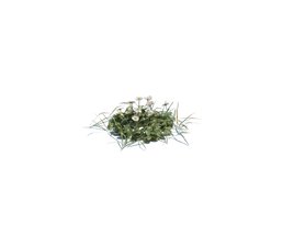 Simple Grass Small V13 Modello 3D