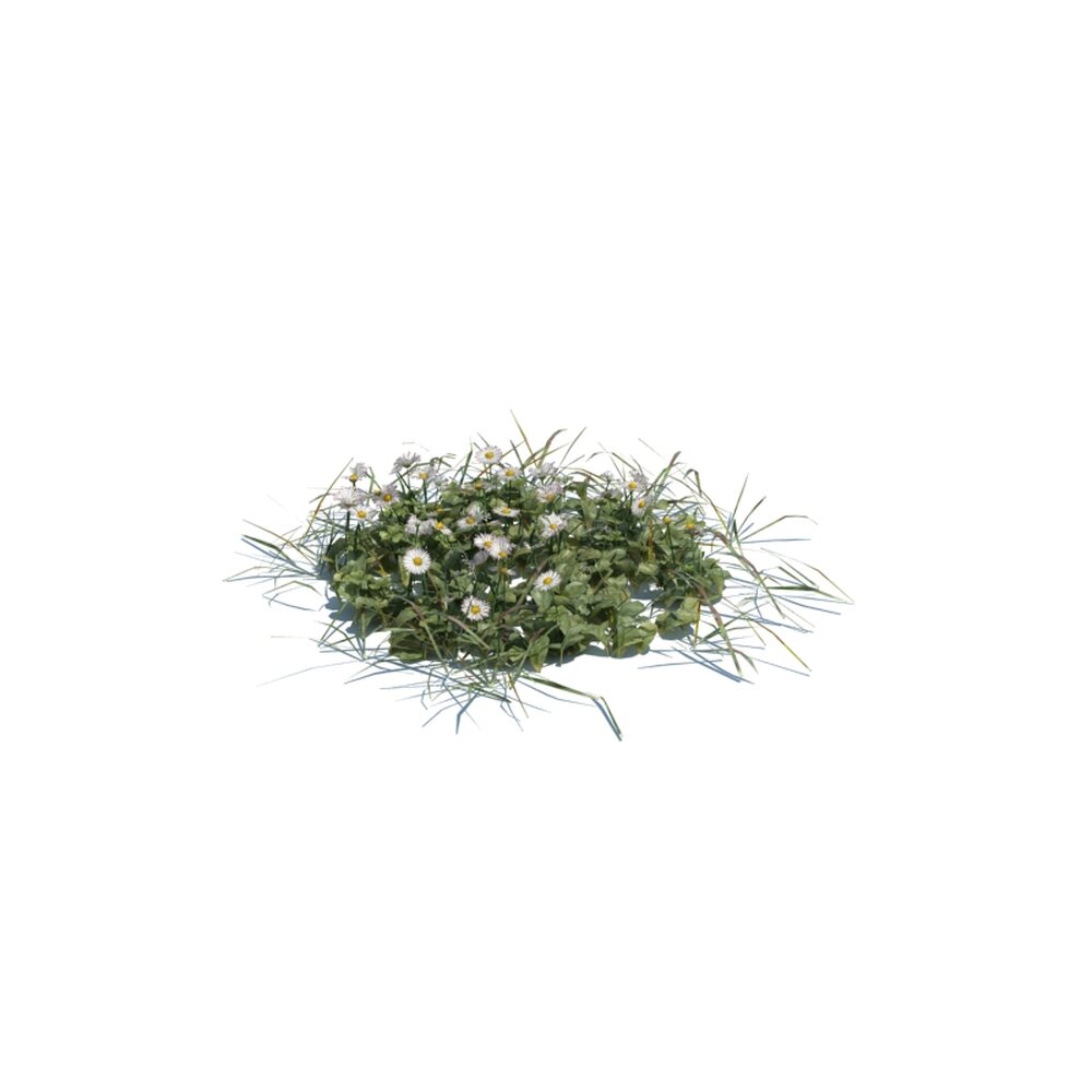 Simple Grass Medium V13 Modello 3D