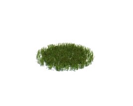 Simple Grass Medium V14 Modello 3D