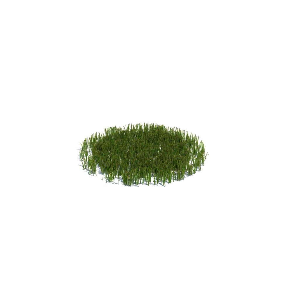Simple Grass Medium V14 Modello 3D