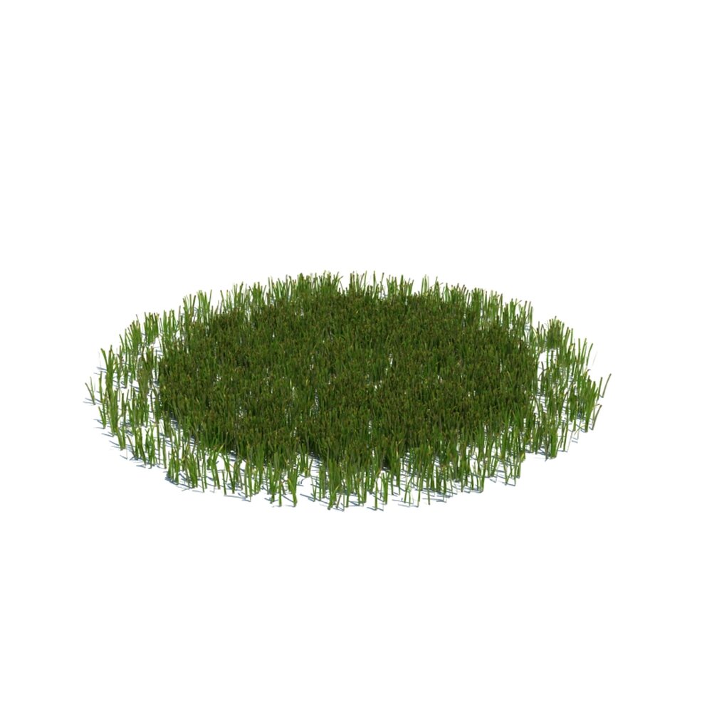 Simple Grass Large V15 3D model