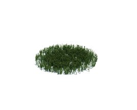 Simple Grass Medium V15 Modelo 3d