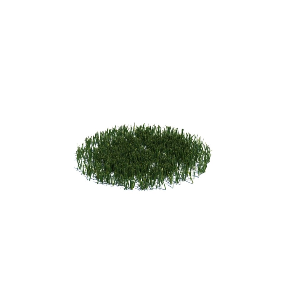 Simple Grass Medium V15 3d model