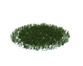 Simple Grass Large V16 Modelo 3d