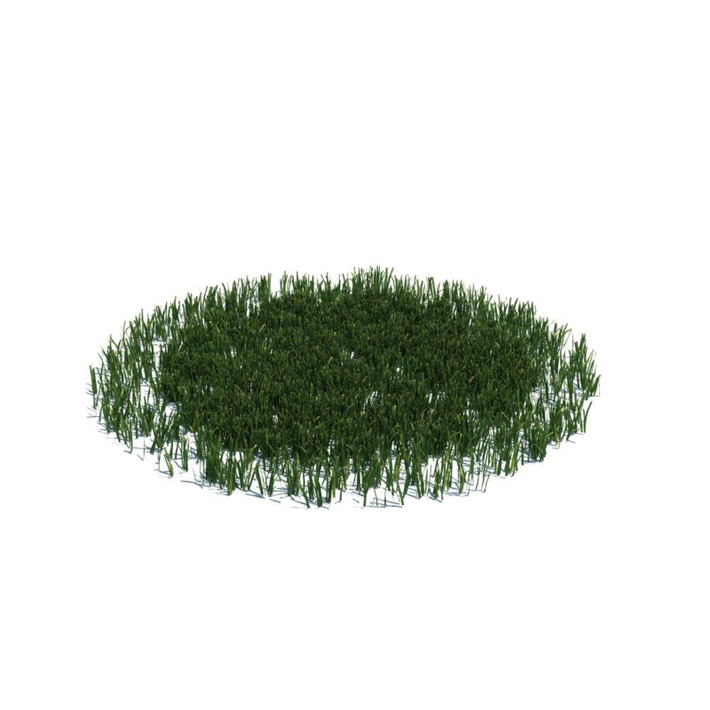Simple Grass Large V16 3D модель