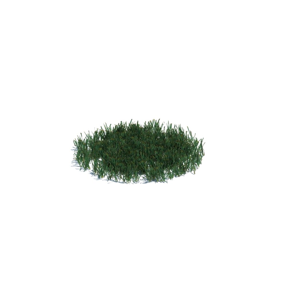 Simple Grass Medium V16 Modelo 3D