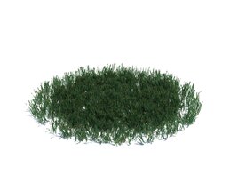 Simple Grass Large V17 Modello 3D