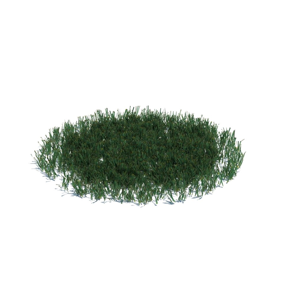 Simple Grass Large V17 3D 모델 