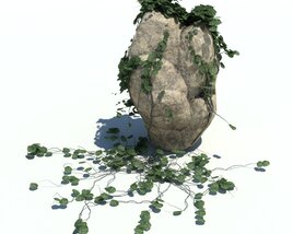 Rocks N Ivy V1 3D模型