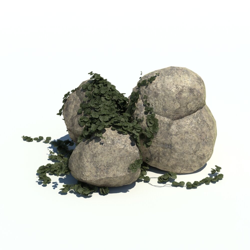 Rocks N Ivy V2 3D-Modell