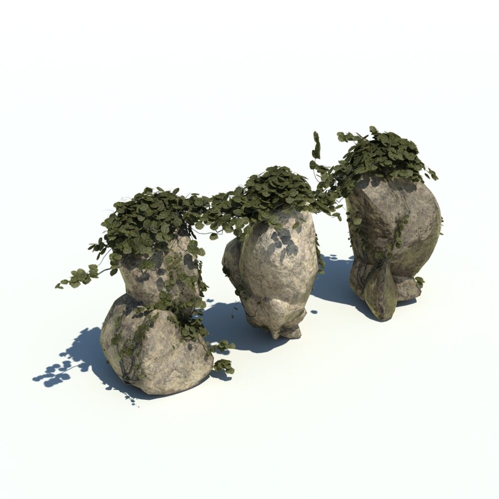 Rocks N Ivy V3 3D 모델 