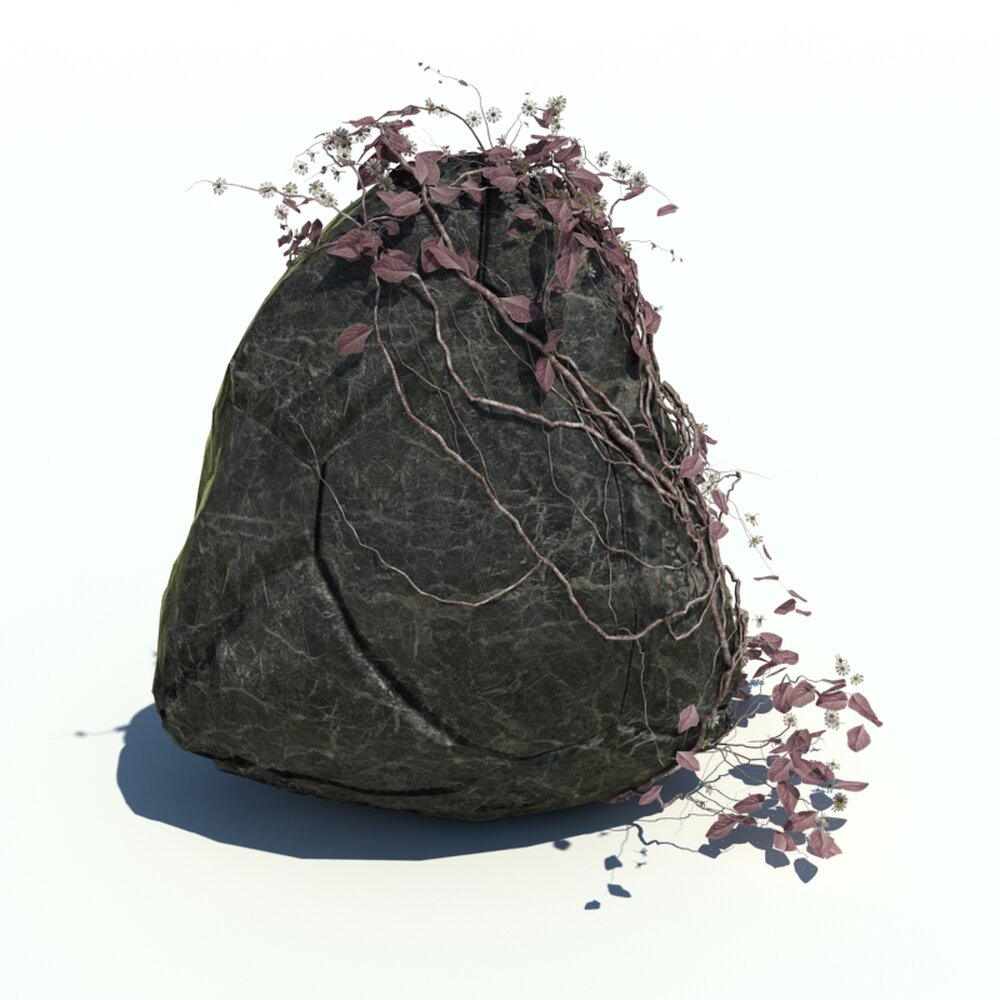 Rocks N Ivy V7 3Dモデル