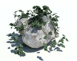 Rocks N Ivy V10 3D model
