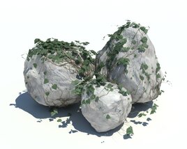 Rocks N Ivy V11 3D模型