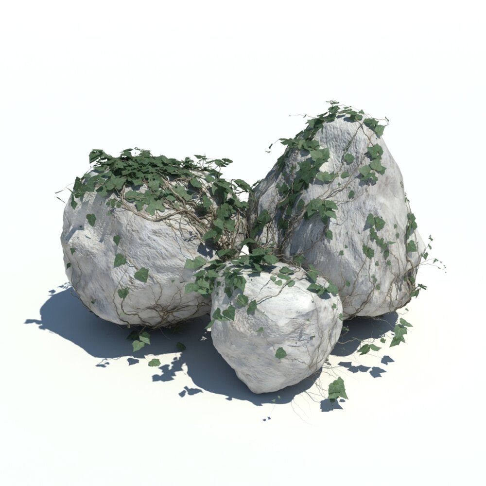 Rocks N Ivy V11 3D 모델 