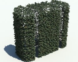 Hedge V1 3D model