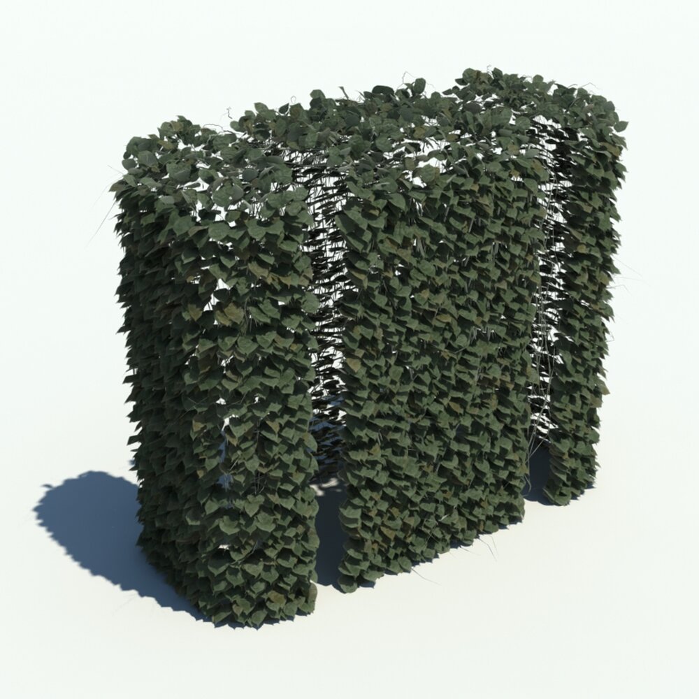 Hedge V1 3D 모델 