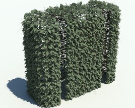 Hedge V2 3D模型