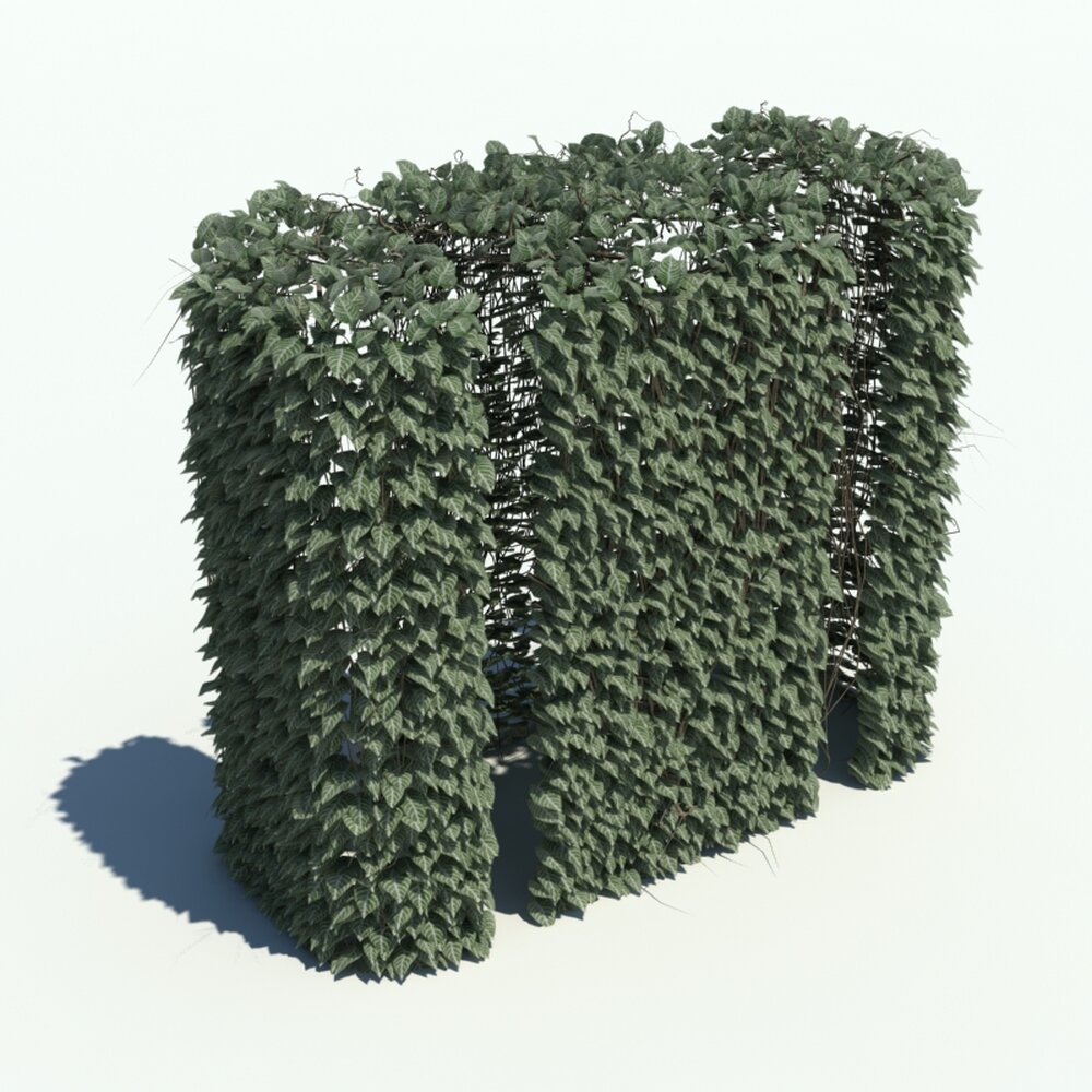 Hedge V2 3D-Modell