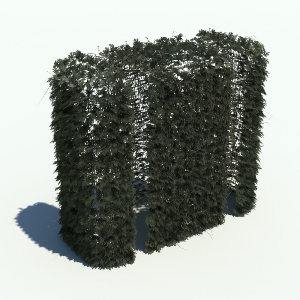 Hedge V3 3D 모델 