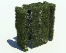 Hedge V4 Modello 3D