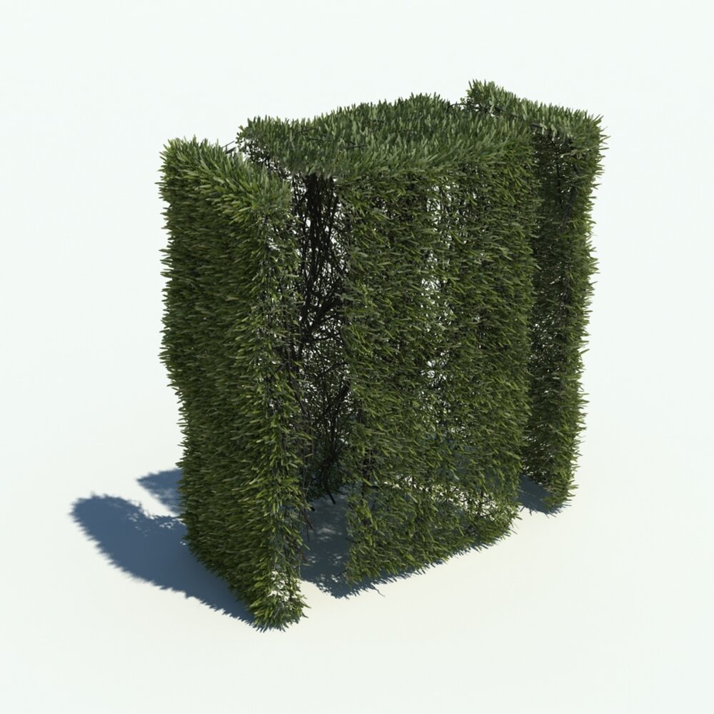 Hedge V4 3D模型