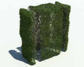 Hedge V5 3D model
