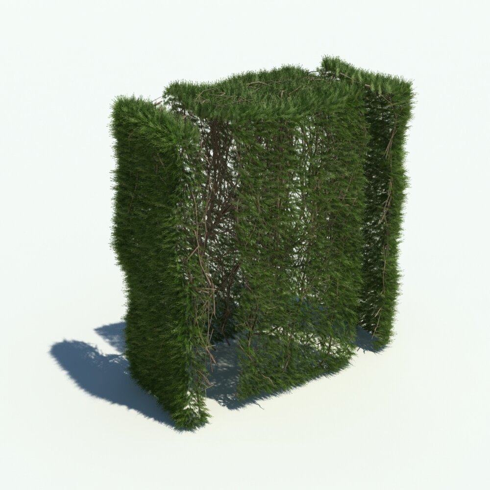Hedge V5 3Dモデル